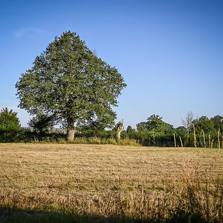 Cabane Les Pourettes Feusines Exterior photo